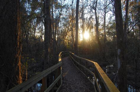 5 Amazing Liberty County Walking Trails You Need To See Liberty