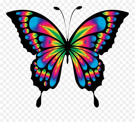 Download Colorful Butterfly Drawing Clipart 5384751 Pinclipart
