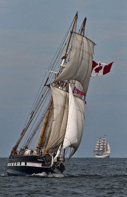 Ships St Lawrence Ii Canadian Tall Ship At The Start Of The Tall