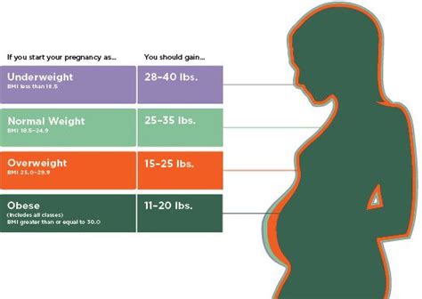 Pin On Pregnancy Weight Gain