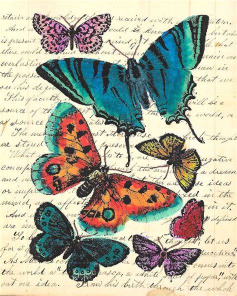 Vintage Butterfly Colorful Image On Print Of Antique Ledger Or Journal