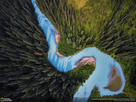 978465 Trees River Forest British Columbia National Geographic