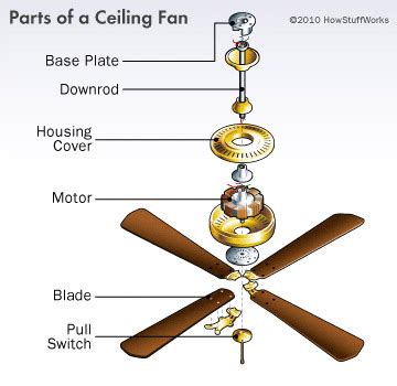 Buying an oversized fan in a small room overwhelms it making it appear. Installing a Ceiling Fan | HowStuffWorks