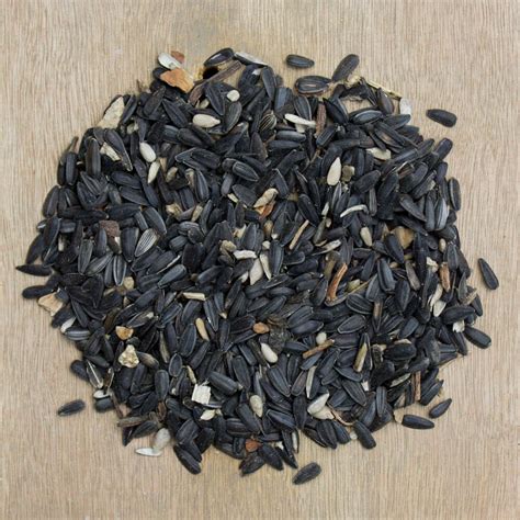 Black Sunflower Seeds Extra Select For Birds