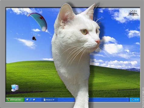 Les fonds d'écran les plus populaires et les plus récompensés sont disponibles windows. Scenery Wallpaper: Fond D'écran Animé Gratuit D'animaux