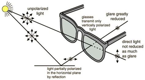 Diagram On How Polarized Lenses Work