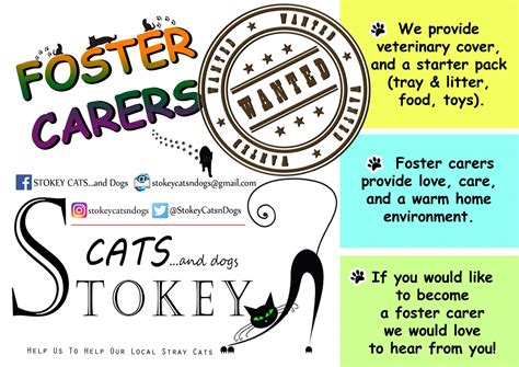 Fostering Stokey Cats And Dogs