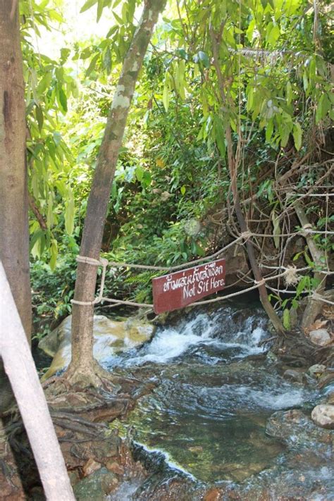 Saline Hot Spring Klong Thom Krabi Thailand Hot Springs Directory