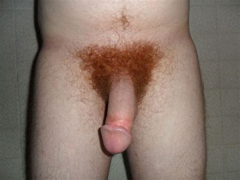 Naked Men With Red Pubic Hair Hotnupics