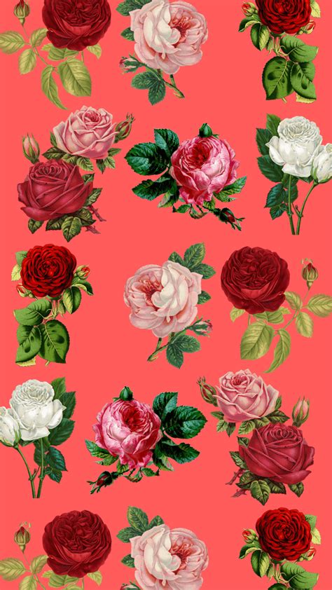 Cute Flower Iphone Wallpapers On Wallpaperdog
