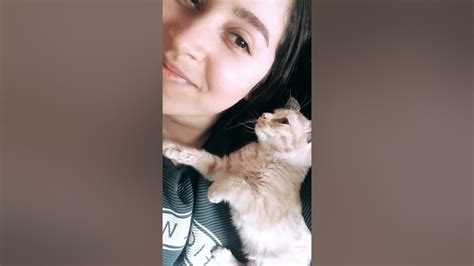 kitty gives fantastic facial massage viralhog youtube
