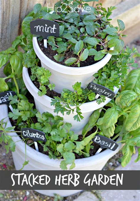 Everything Plants And Flowers Diy Stacked Herb Garden