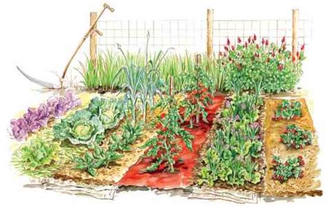 Jun 12, 2015 · garden lime is a powdered or pelletized product made from naturally occurring minerals. Get the Most From Vegetable Garden Mulches - Organic ...