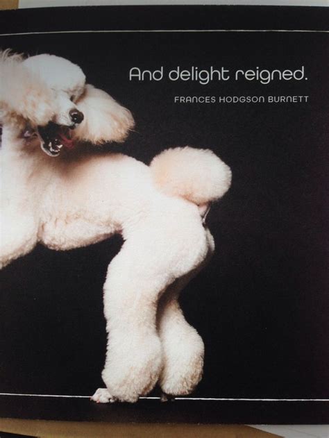 Francis Hodgson Burnett Poodle Puppy Standard Poodle Dog Standard
