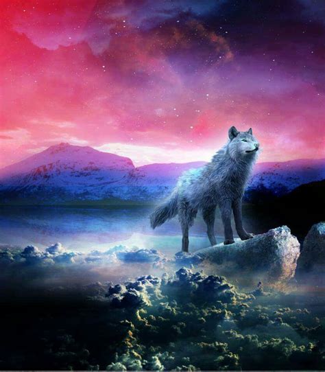 Pin By Shauna Caughron On Beautiful Wolves And Wolf Art Beautiful