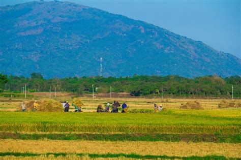 Vietnam Central Motorcycle Tours 4 Day Hoi An Motorbike Tour To Nha