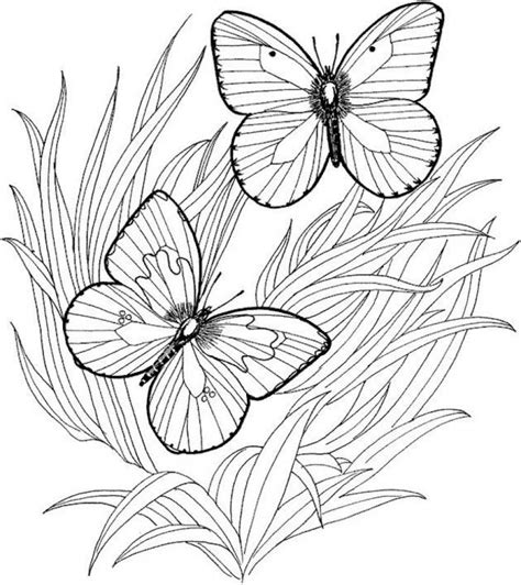 Here Free Butterfly Printable Coloring Pages Mackira Thanatos