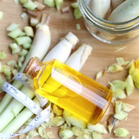 Tinh Dầu Sả Chanh Nguyên Chất 100 Lemon Grass Essential Oil Pure