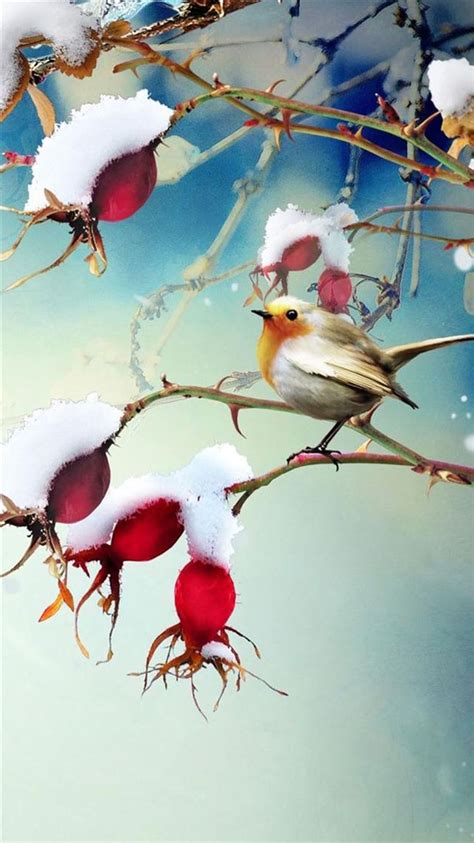 Winter Snowy Cotton Branch Bird Scene Iphone 8 Wallpapers Free Download