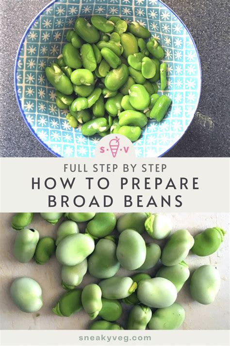 Get the best from the summer crop with our tips for podding and cooking broad beans. How to prepare and cook broad beans | Sneaky Veg