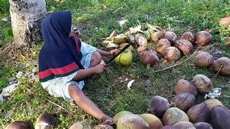 Minyak kelapa memberikan sejumlah manfaat kesehatan dan dapat digunakan untuk memasak serta perawatan kulit dan rambut. CARA MEMBUAT KOPRA (MINYAK KELAPA) - YouTube
