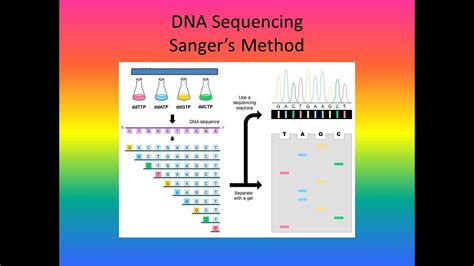 Dna Sequencing Youtube