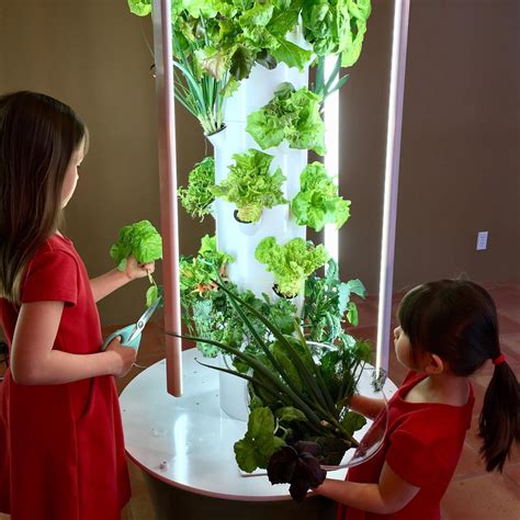 Teach Your Children How To Garden Juice Plus Tower Garden Tower