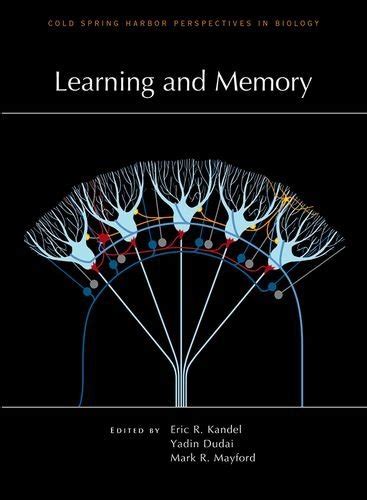 Learning And Memory Neuroscience News