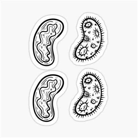Bacteria Germs Microorganisms Cells Set Pack Sticker For Sale By
