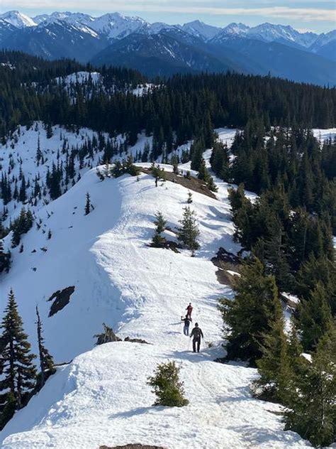 Hurricane Ridge Snowshoe — Washington Trails Association