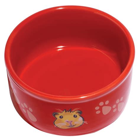 Rabbit and cat ceramic food bowl thepetguardian 5 out of 5 stars (94) $ 15.90. Paw-Print PetWare Bowl, Guinea Pig, Colors Vary: Small ...