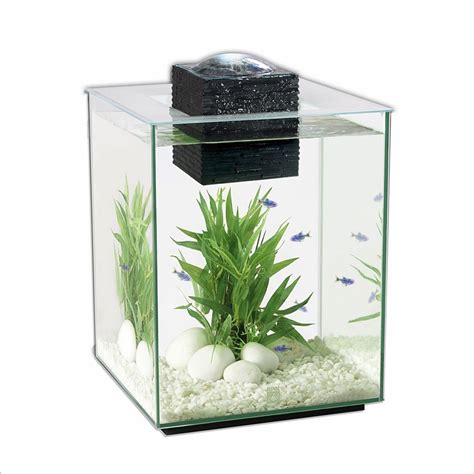 These fish tanks are a fantastic way to. The Ultimate Guide to Modern Contemporary Fish Tanks With ...