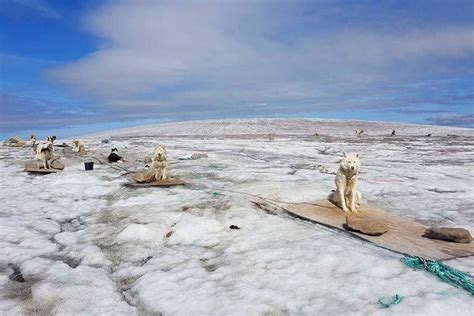 Complete Guide To Visiting Qeqertarsuaq On Disko Island In Greenland