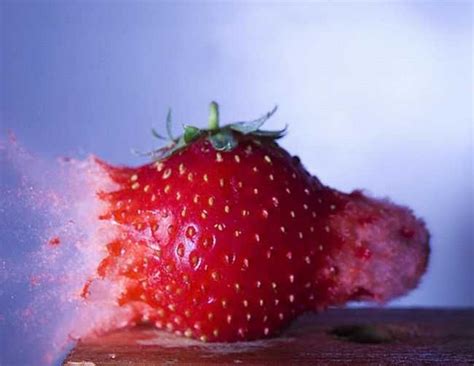 High Speed Photography By Alan Sailer Slow Motion Photography Shutter