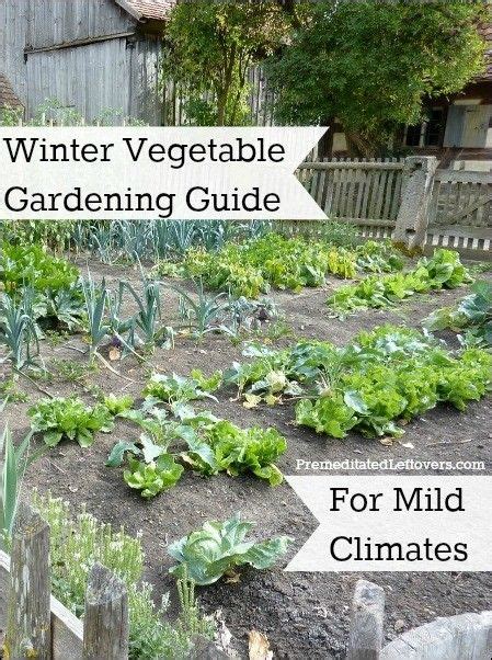 Winter Vegetable Gardening Guide For Mild Climates Winter Vegetables
