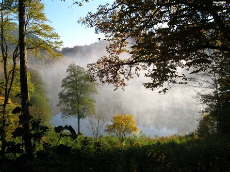 Mountains Fog Autumn Woods Beautiful Views Wallpapers 1920x1440