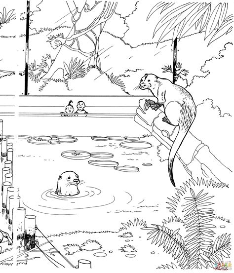 River Otter In A Zoo Coloring Page Free Printable Coloring Pages