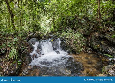 Small Waterfall In The Dark Forest Waterfalls And Vegetation Inside