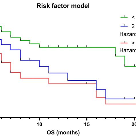 Risk Stratification Model Including All Clinical And Imaging Parameters