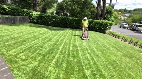 How To Mow In Straight Lines Youtube