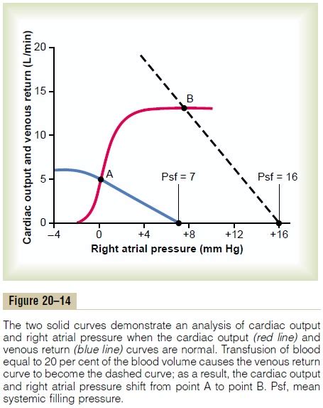 Venous Pressure Curve