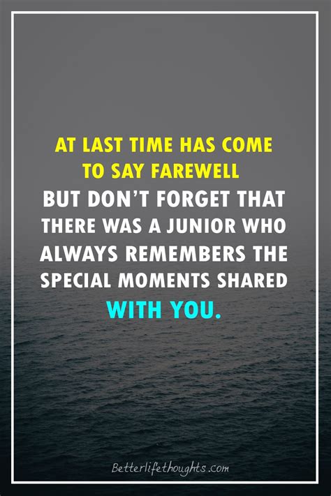 50 Farewell Quotes For Seniors From Juniors That Make Them Special In