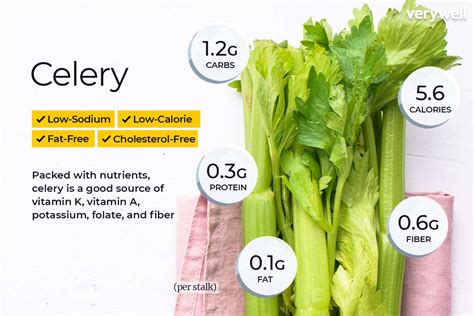 Celery Nutrition Facts And Health Benefits 2022