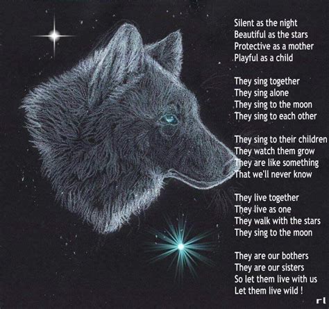 Pin By Beth Nesbitt On Beths Pictures Animal Spirit Guides Wolf