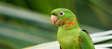The best pet stores in toronto sell all the accoutrements needed to live your best pet owner life. EXOTIC PET STORES NEAR ME ALL OVER THE WORLD