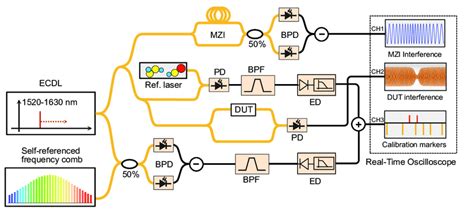 Frequency Comb Calibrated Swept Wavelength Interferometry Measurement