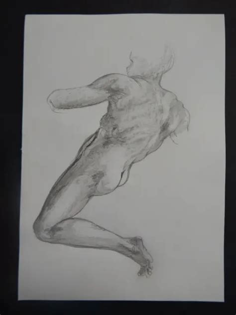 Renaissance Drawing After Michelangelo Seated Male Nude C Ignudo Study