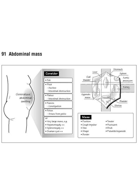 Solution Abdominal Diagram Studypool