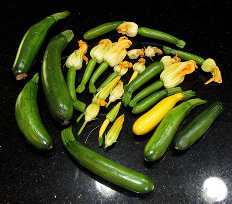I've made zucchini blossoms more ways than you can probably imagine, but i always come back to my original recipe, my interpretation of a classic how do i make stuffed zucchini blossoms? Zucchini Blossoms - VEGarden