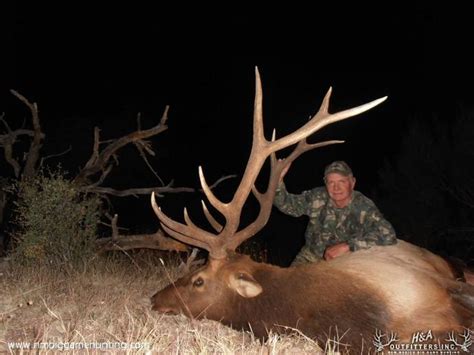 Gila National Forest Elk Hunts Unit 15 16a 16c 16d 16e 23 New
